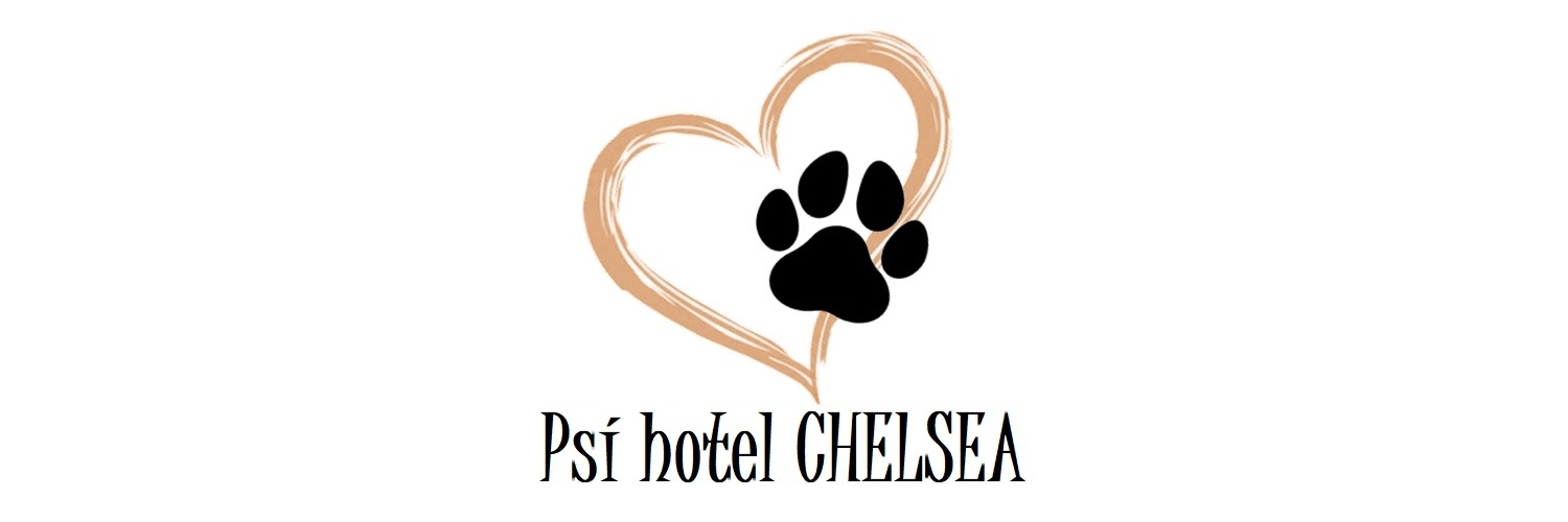 Psí hotel Chelsea -  banner